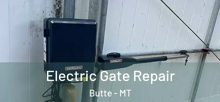  Electric Gate Repair Butte - MT