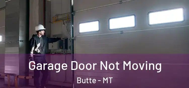  Garage Door Not Moving Butte - MT