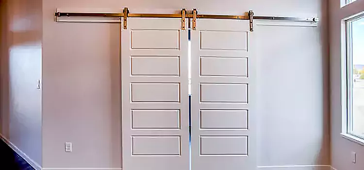 Glass Barn Door with Installation Hardware Kit Butte