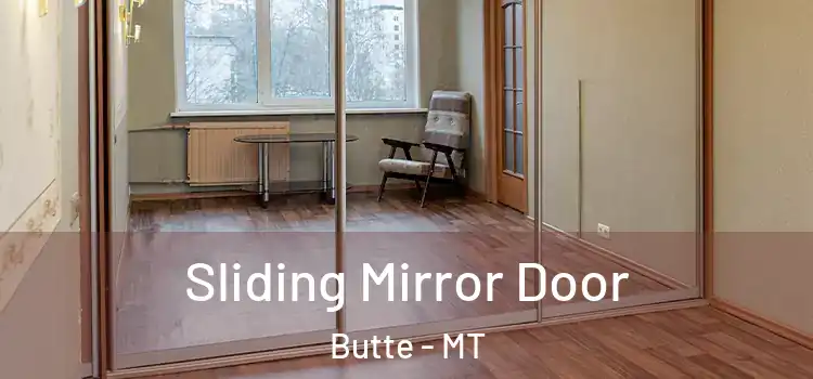  Sliding Mirror Door Butte - MT
